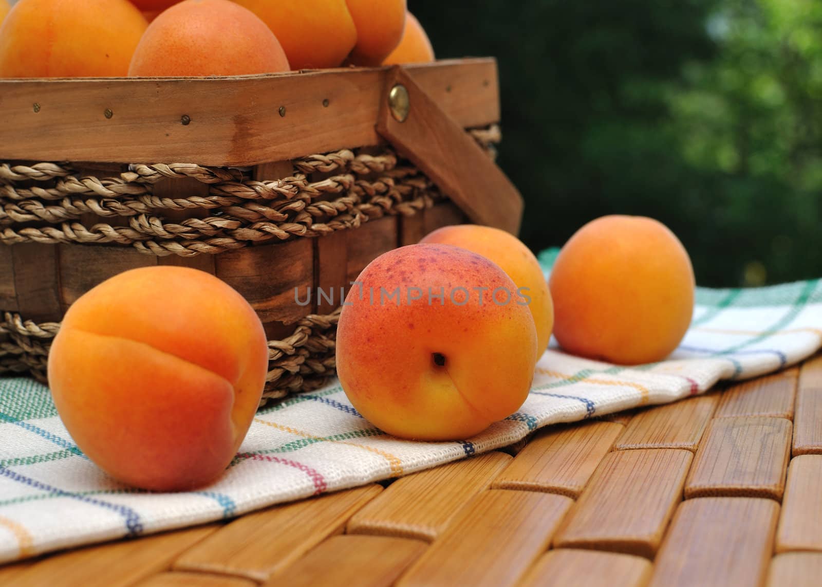 Apricot basket with scattered on the towel