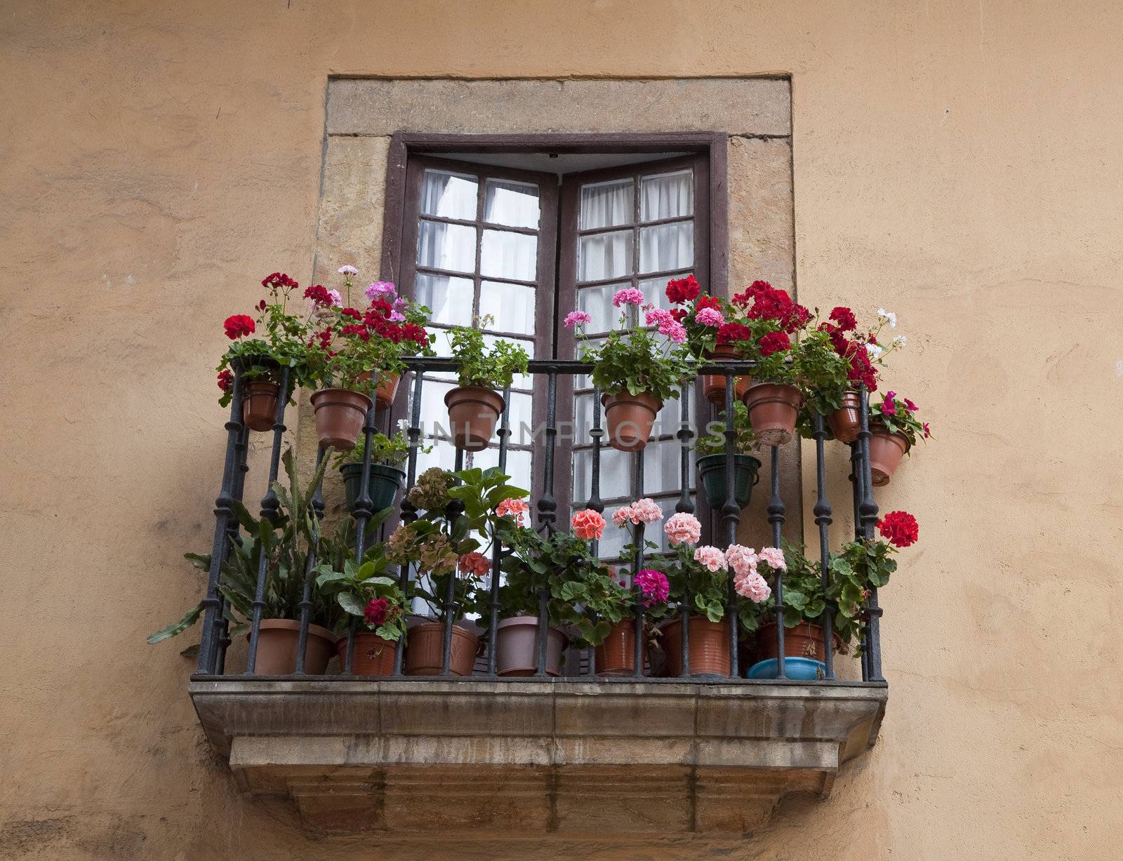 Beautiful tiny balcony with Geranium in many red colors - urban Oviedo, Spain.