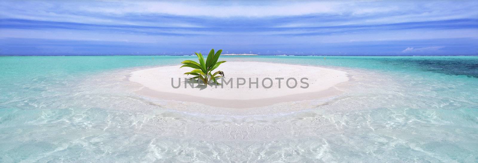 Beautiful tropical crystal clear sea with sandy island and vegetation