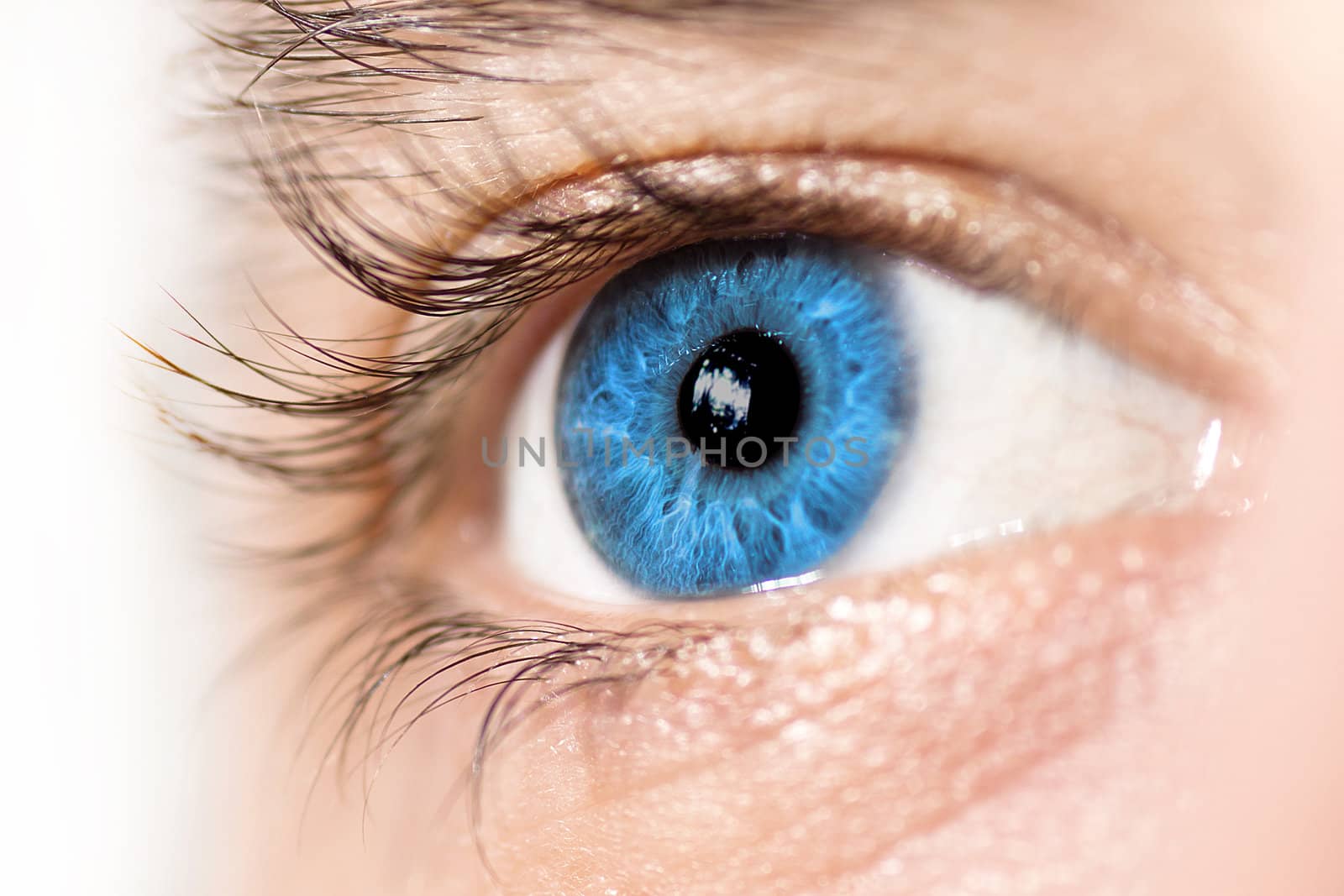 Macro of a blue eye. Side view, selective focus.