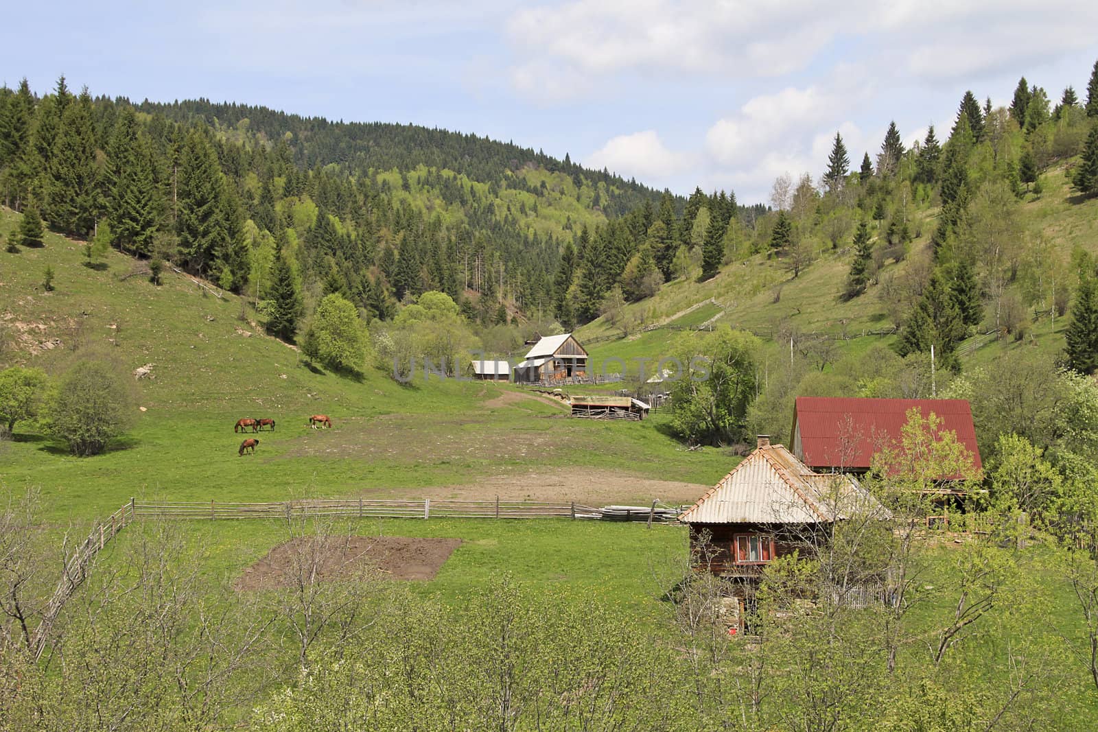 A nice valley with horses and some wooden houses