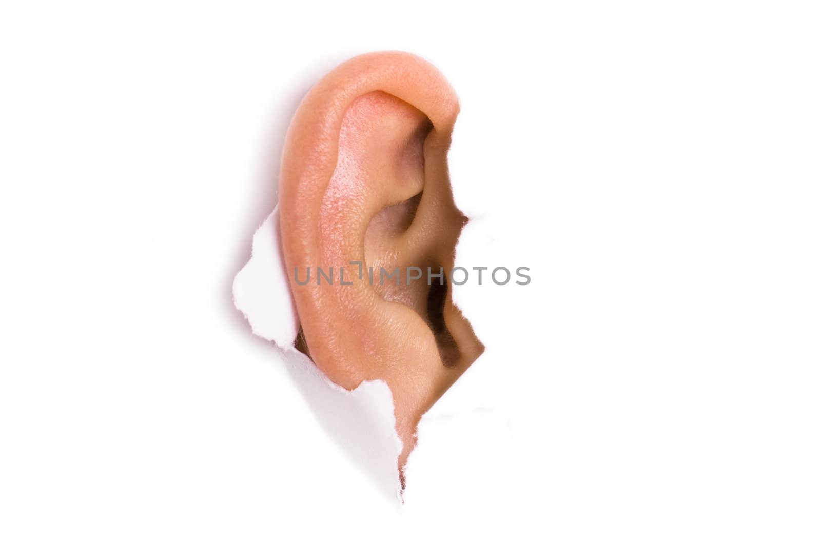woman ear peeping out from white torn paperwoman ear peeping out from white torn paper