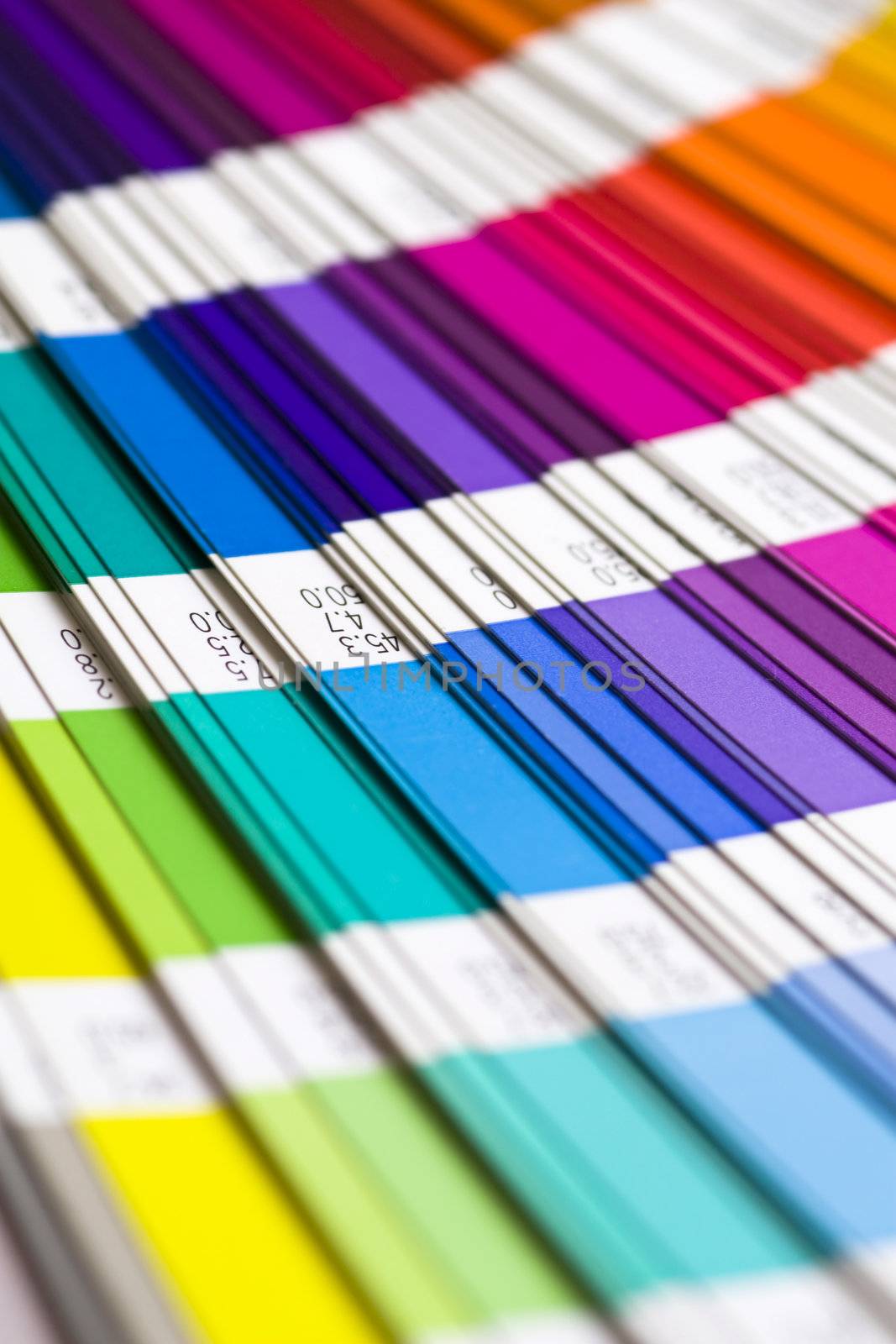 open Pantone sample colors catalogue