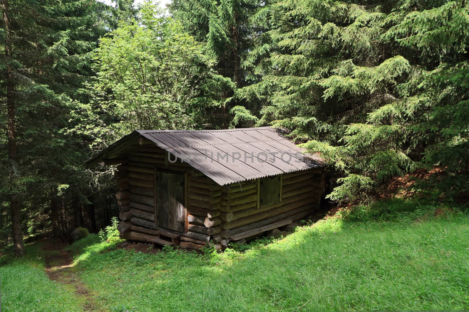 small barn on the forest in Italian Alps