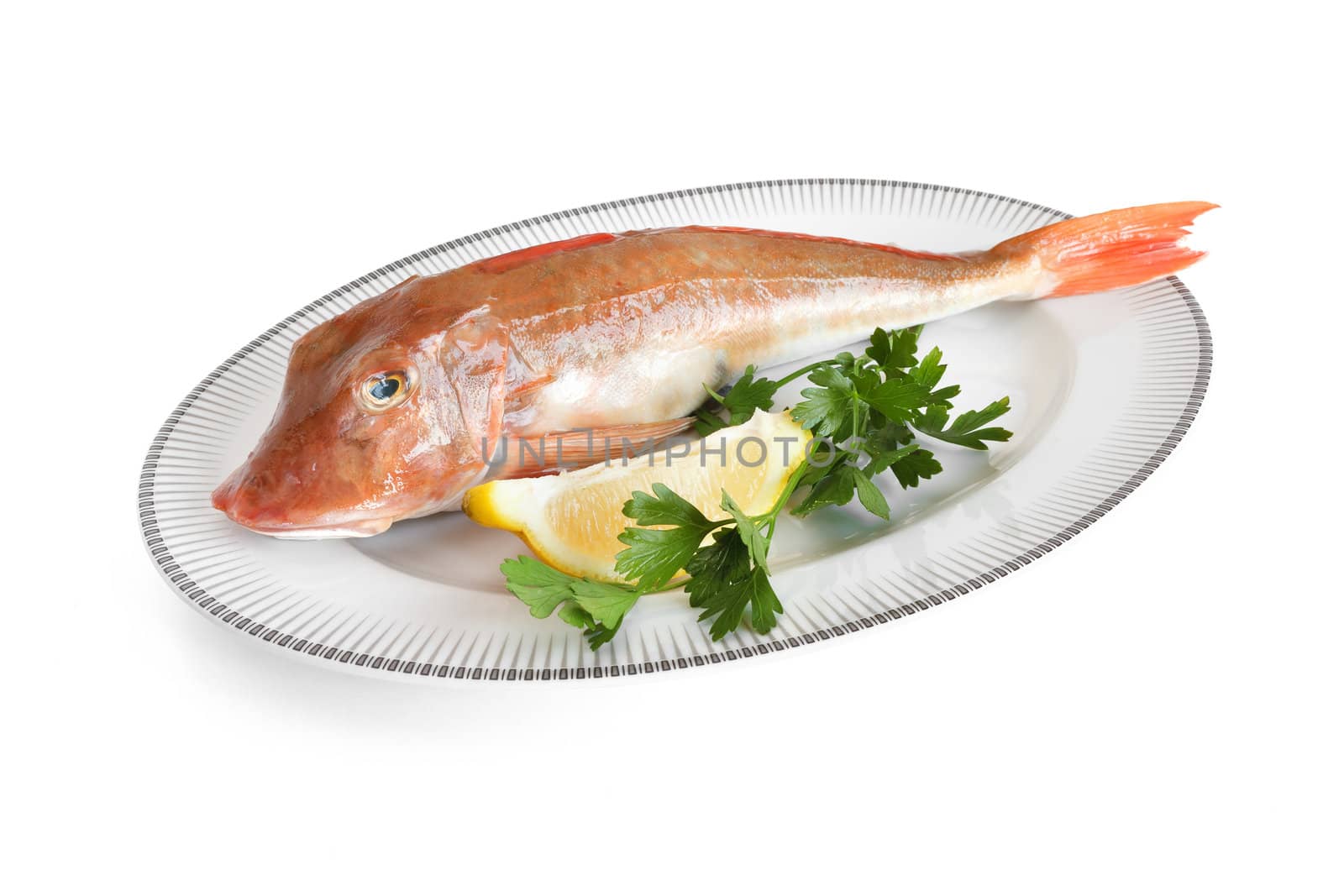 plate with tub gurnard, lemon and parsley isolated with clipping path