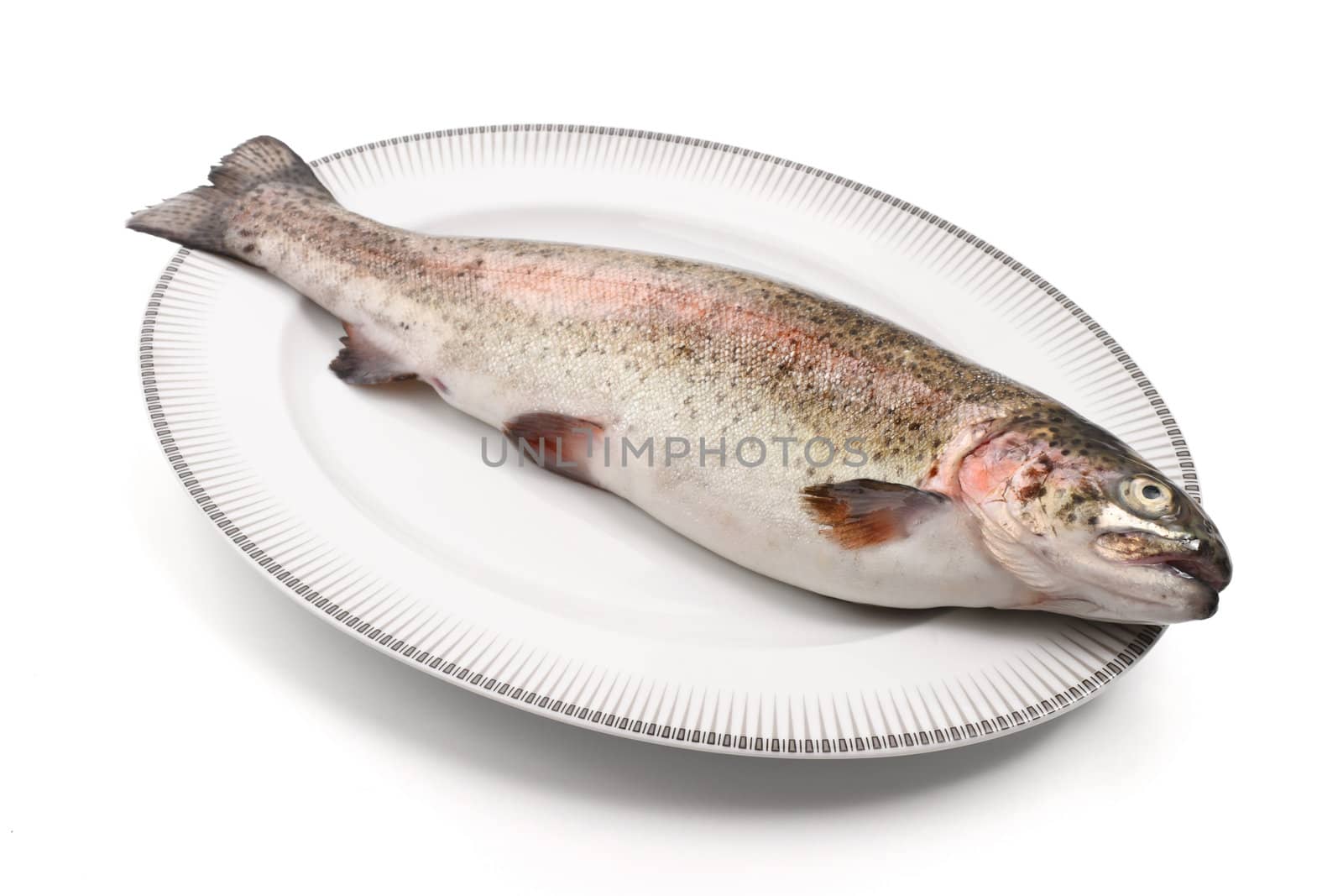 plate with rainbow trout over white background