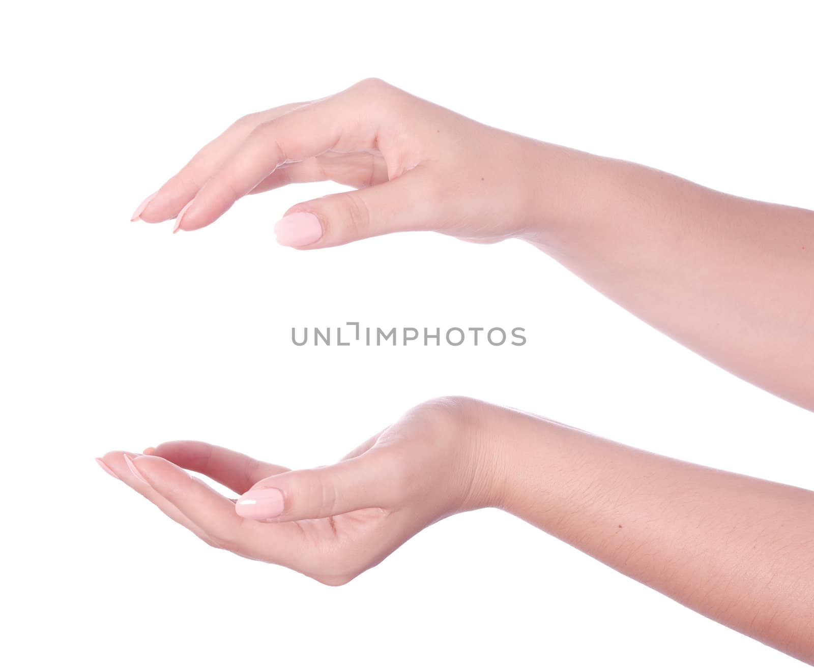 woman open hands isolated on white background