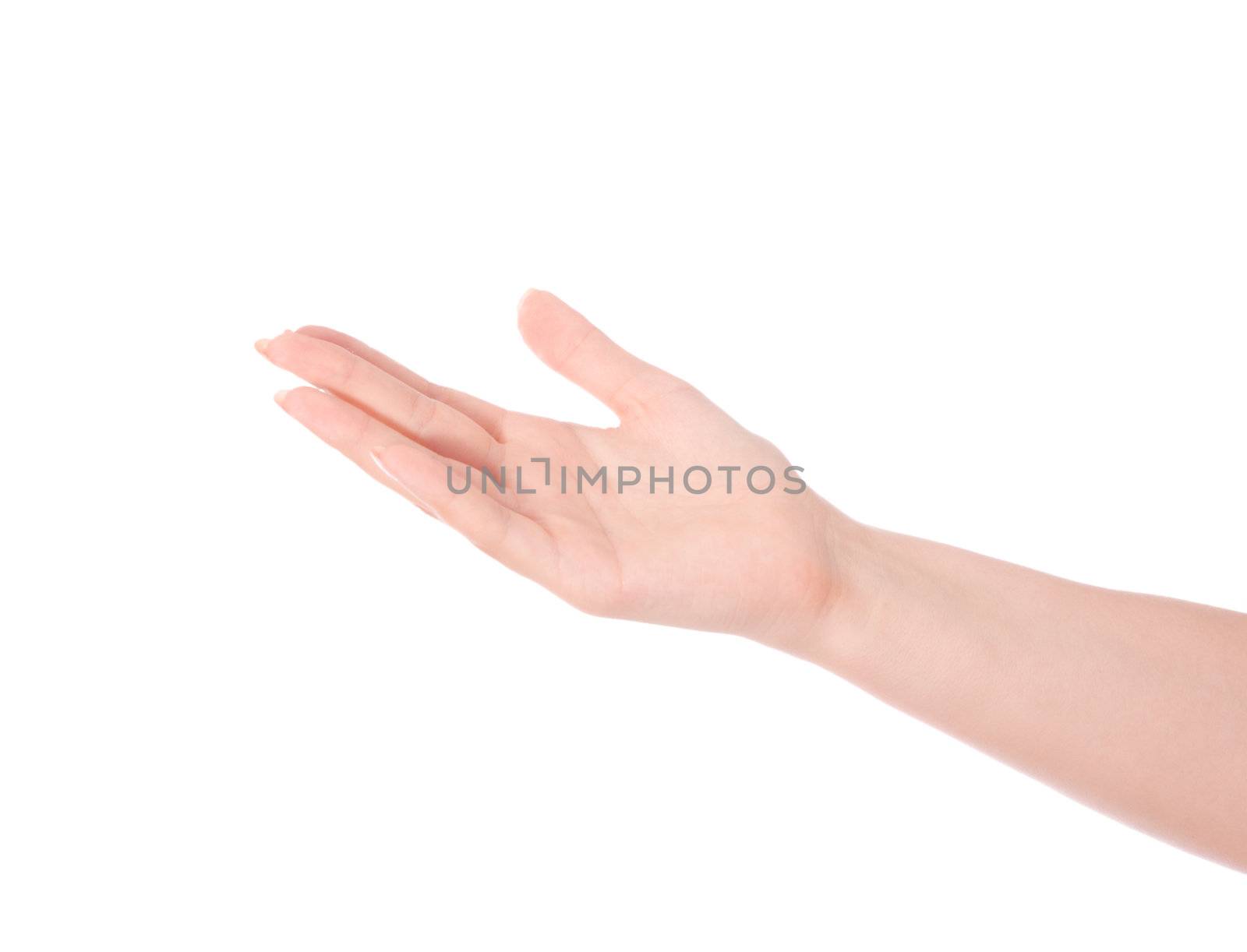 Empty open male hand on white background