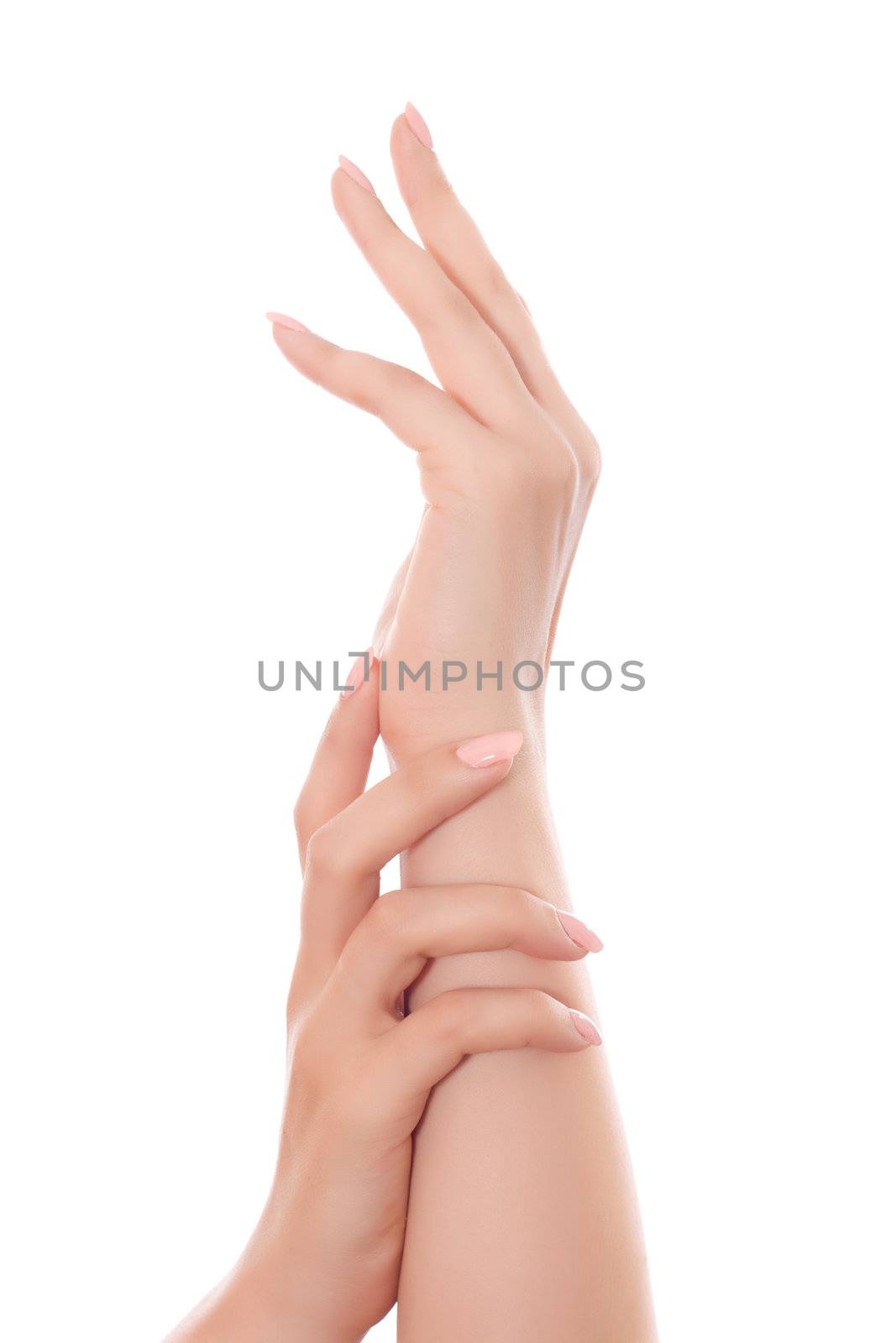 care for beautiful woman hands isolated