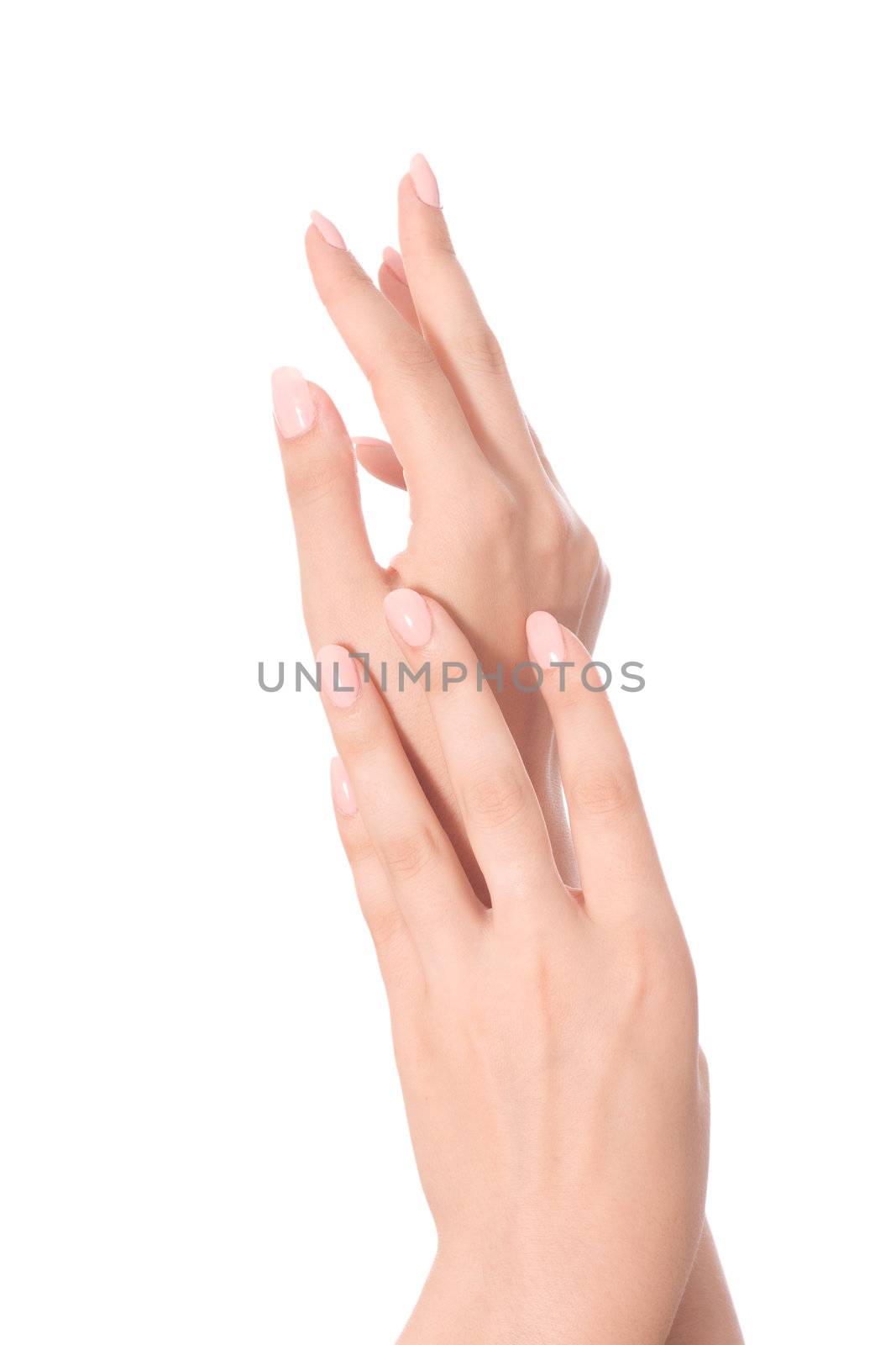 Beautiful Female Hands.Manicure concept
