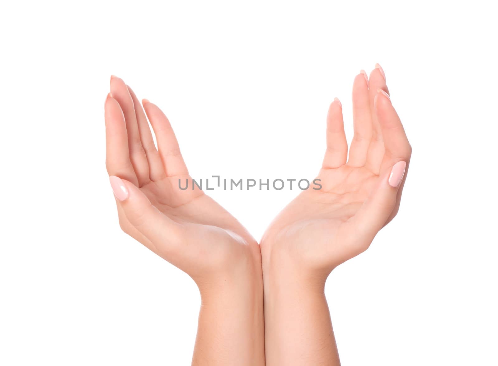 Hand holding star isolated