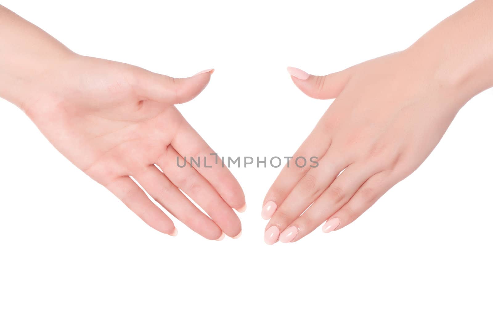 Woman palm on white background isolated