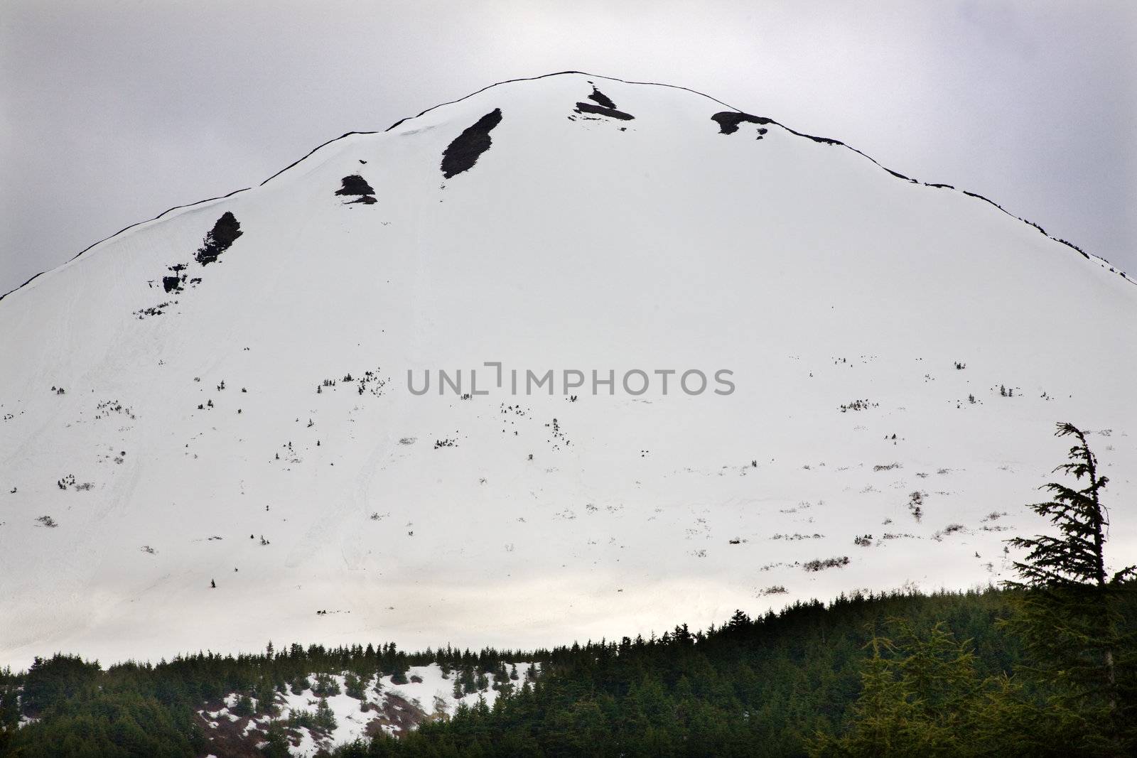 White Snow Mountain Green Tree Outlined against Sky, Seward Highway, Anchorage, Alaska
