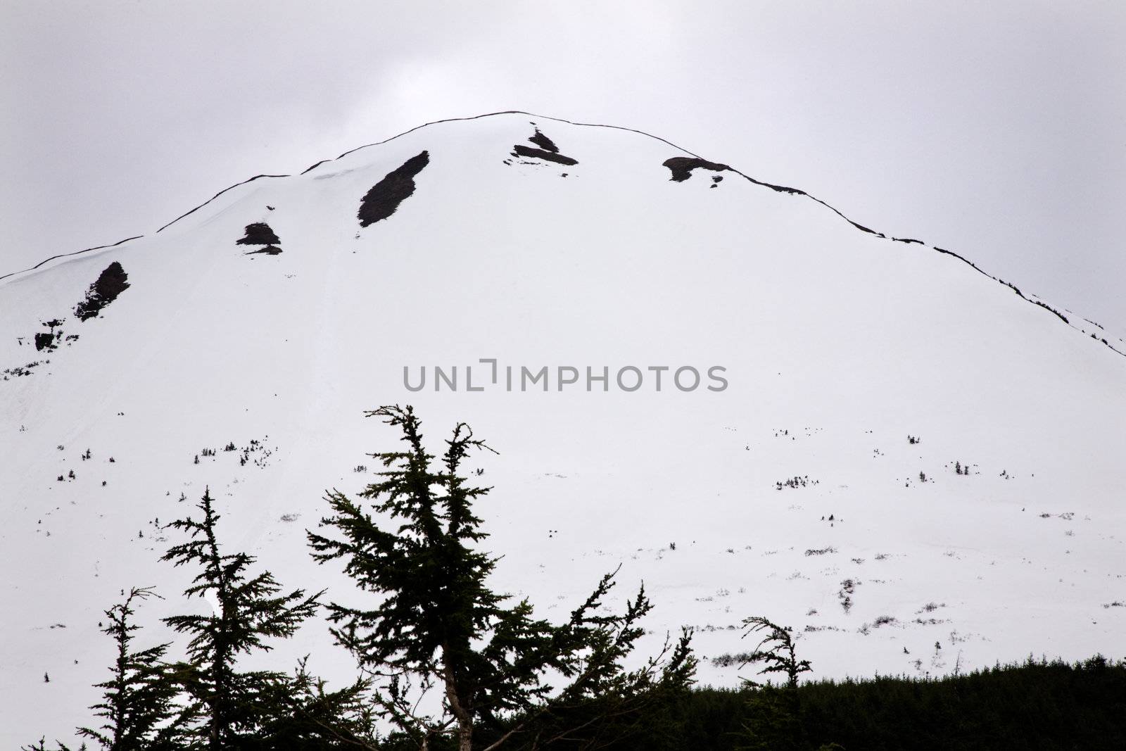 White Snow Mountain Tree Outlined against Sky, Seward Highway, Anchorage, Alaska
