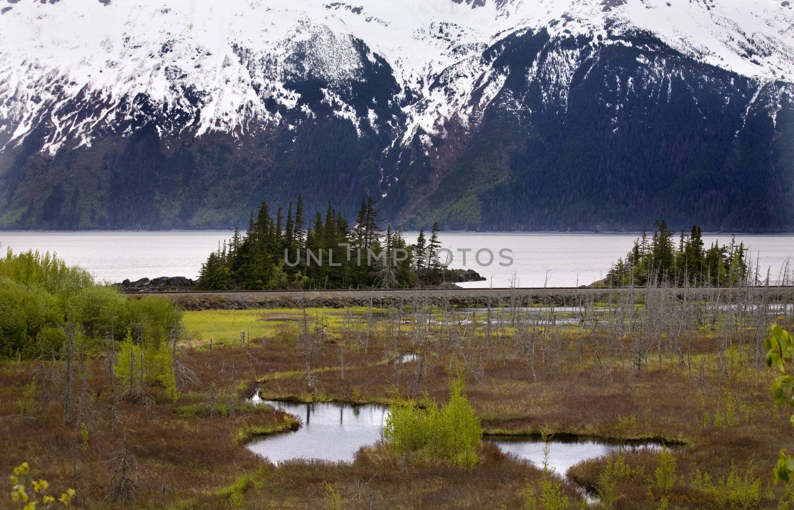 Snow Mountain Range Two Lakes Ocean Anchorage Alaska by bill_perry