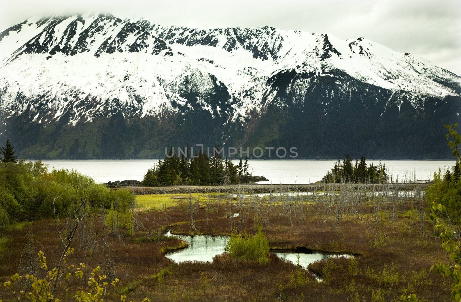 Snow Mountain Range Overview, Seward Highway, Anchorage, Alaska

