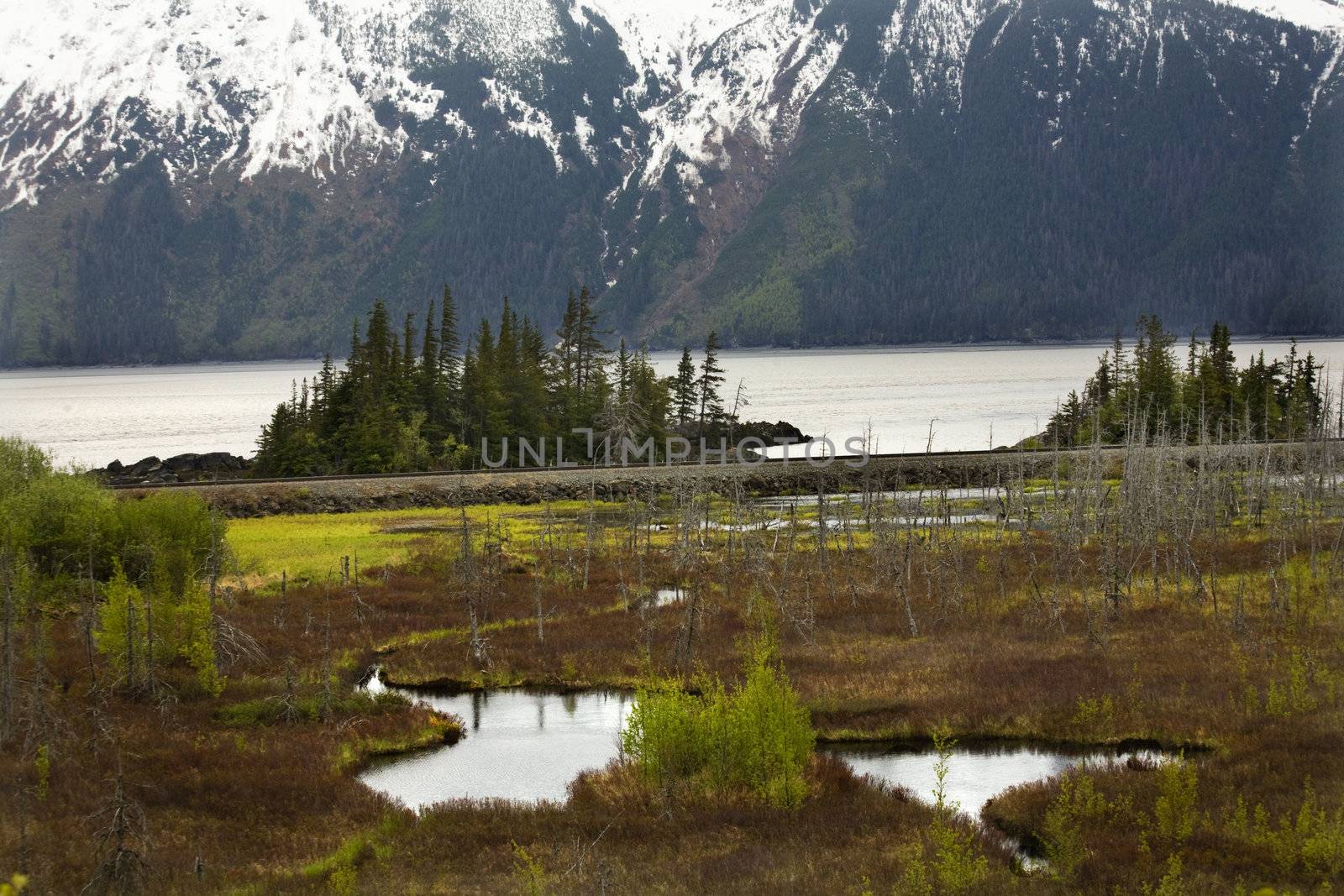 Snowy Mountain Range Two Lakes Seward Highway Anchorage Alaska by bill_perry