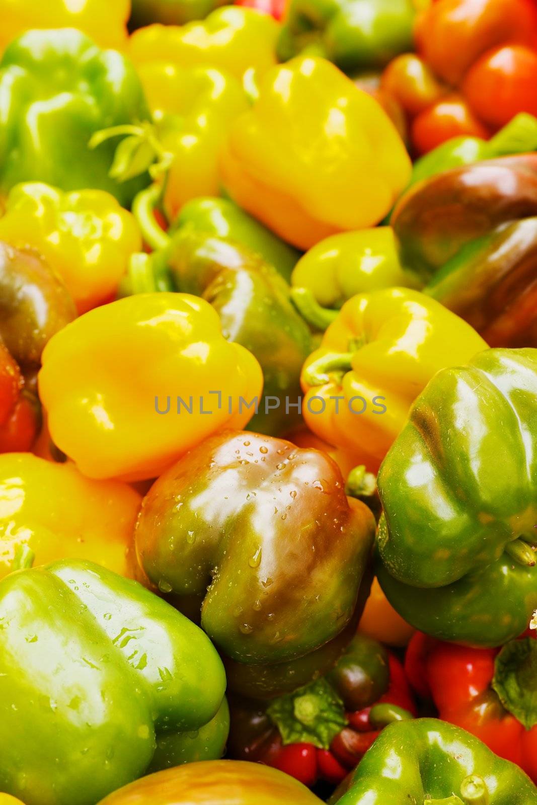 Many Color Bell Peppers by bobkeenan