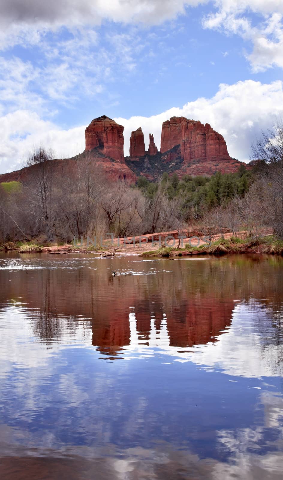 Cathedral Rock Canyon Oak Creek Reflection Sedona Arizona by bill_perry