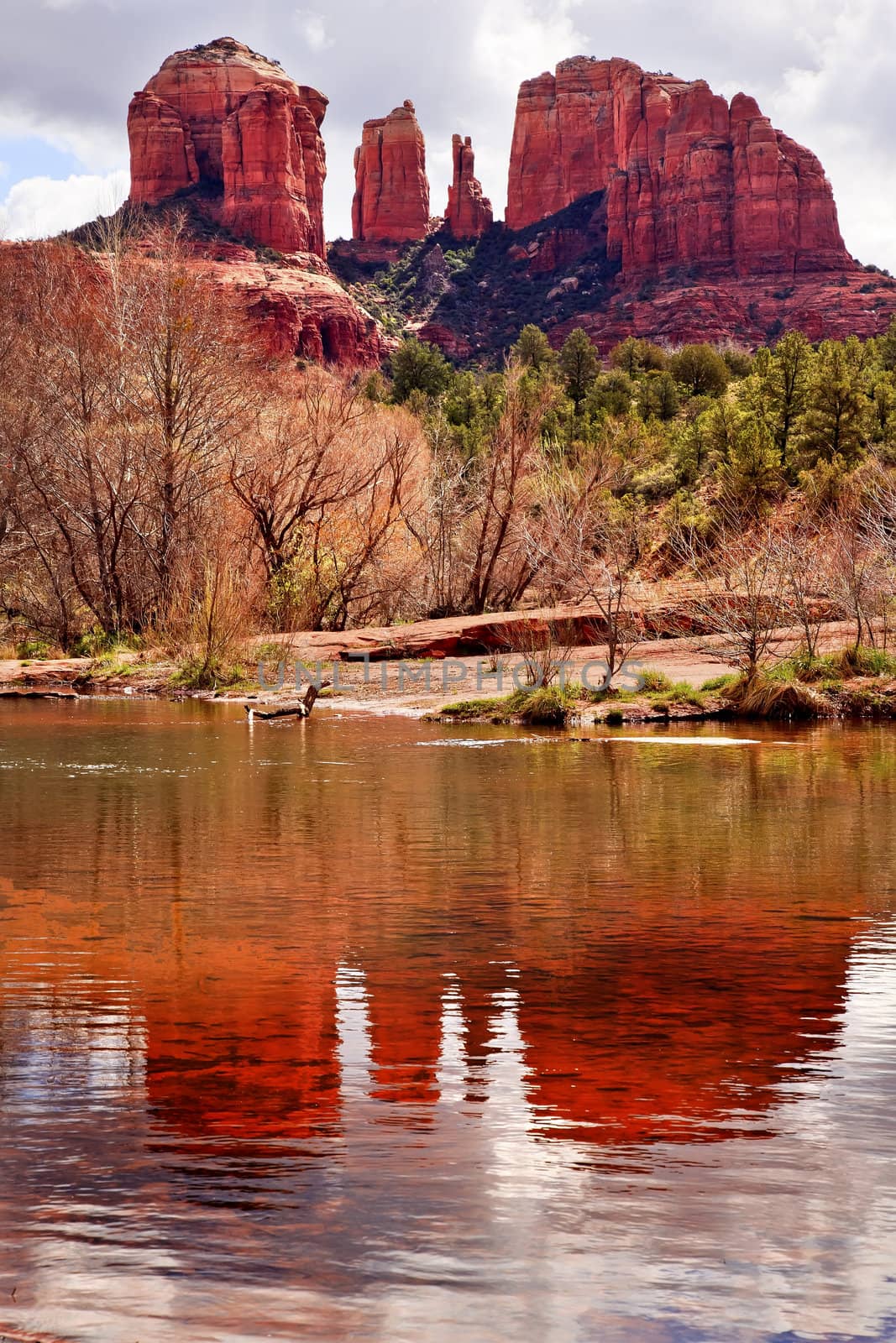 Cathedral Rock Canyon Oak Creek Reflection Sedona Arizona by bill_perry
