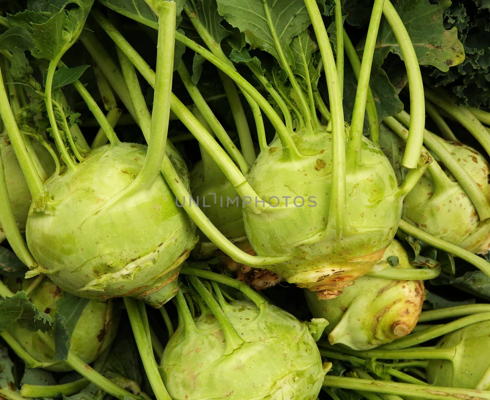 Pile of Green Kohlrabi at the farmers market