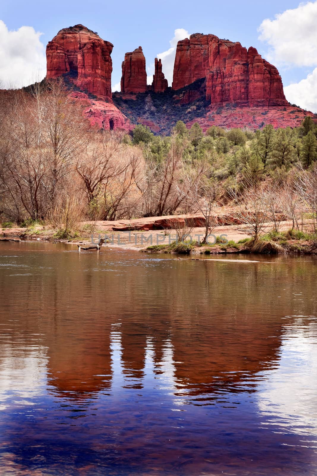 Cathedral Rock Canyon Oak Creek Reflection Sedona Arizona by bill_perry