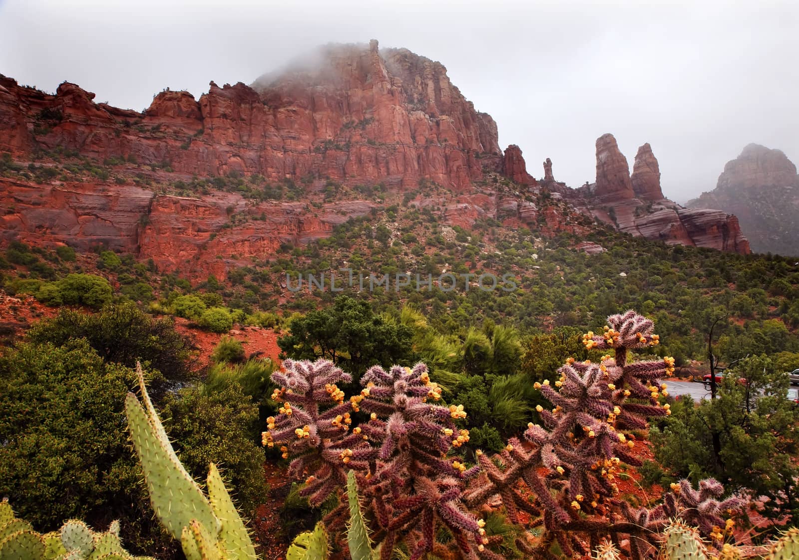 Madonna and Nuns Red Rock Canyon Rain Clouds Sedona Arizona by bill_perry