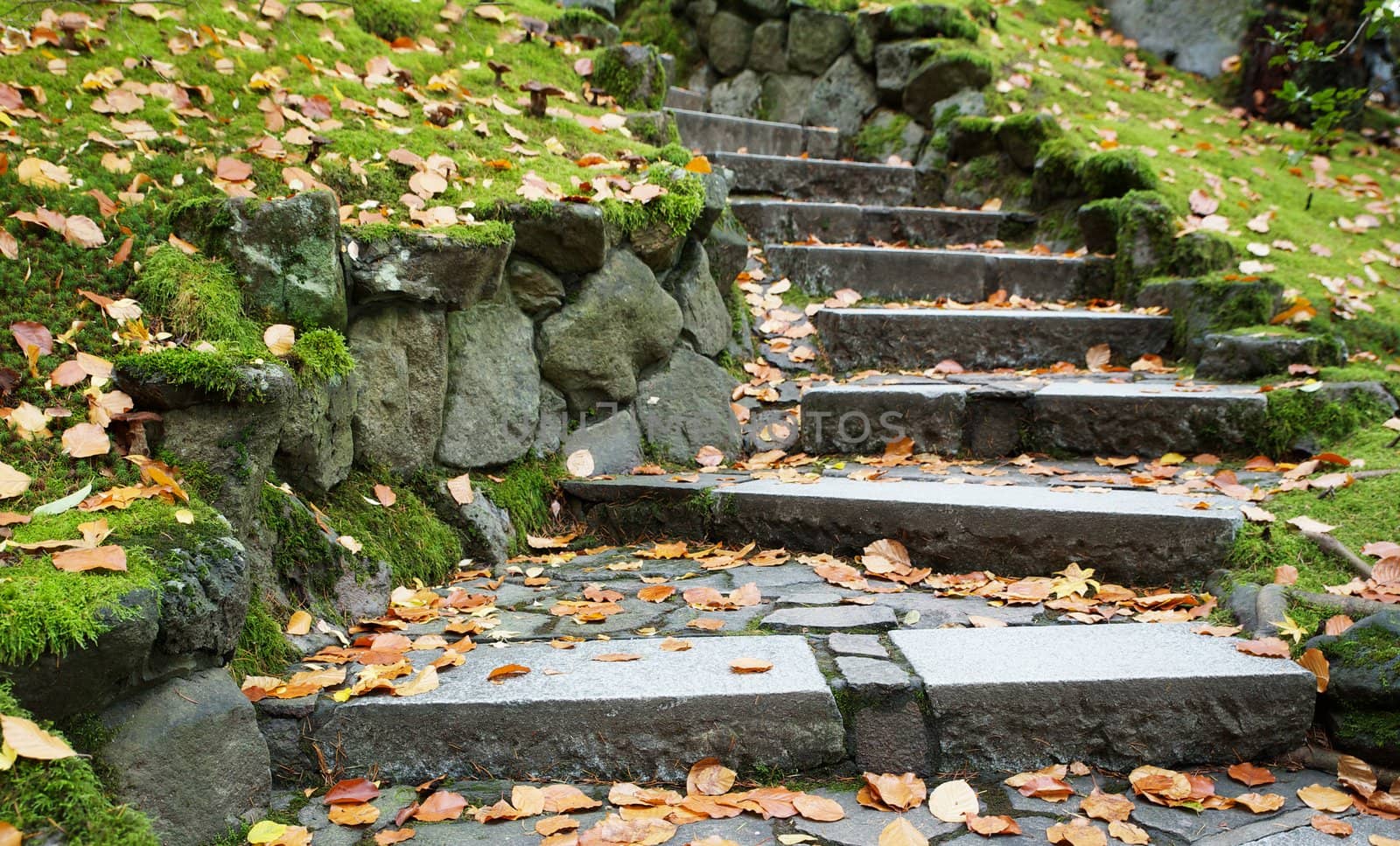 outdoor downward leading steps outdoor in a park with a shallow DOF