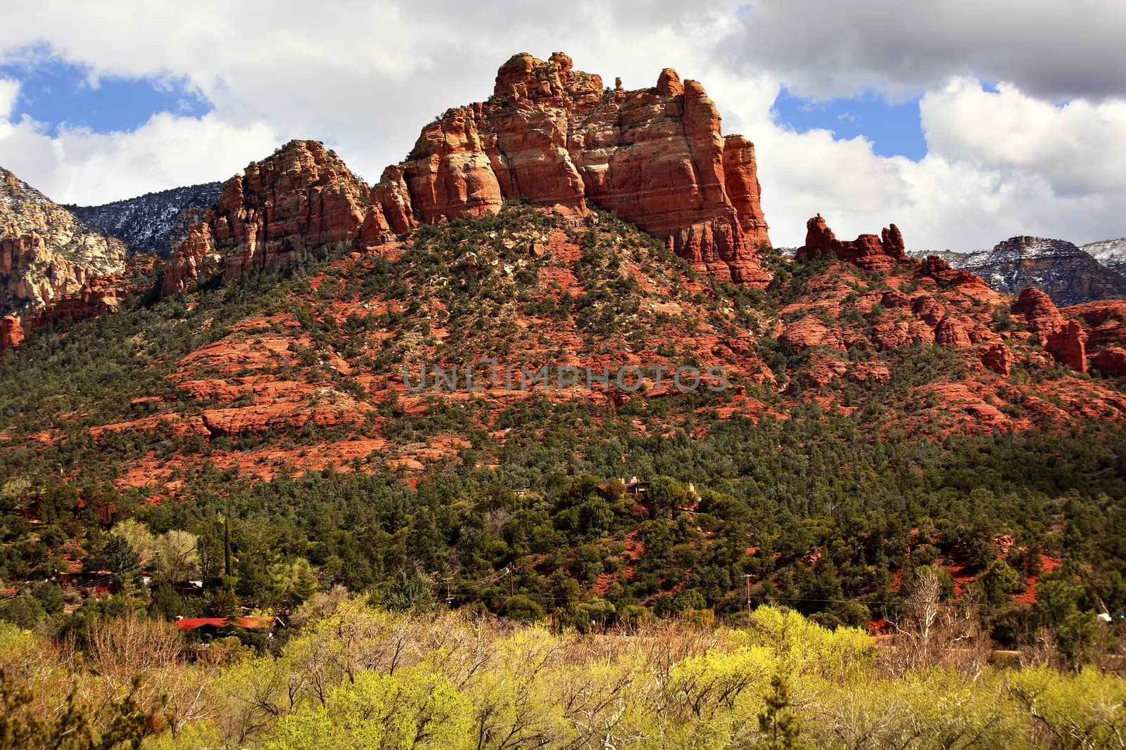 Camel Head Orange Red Rock Butte Sedona Arizona by bill_perry