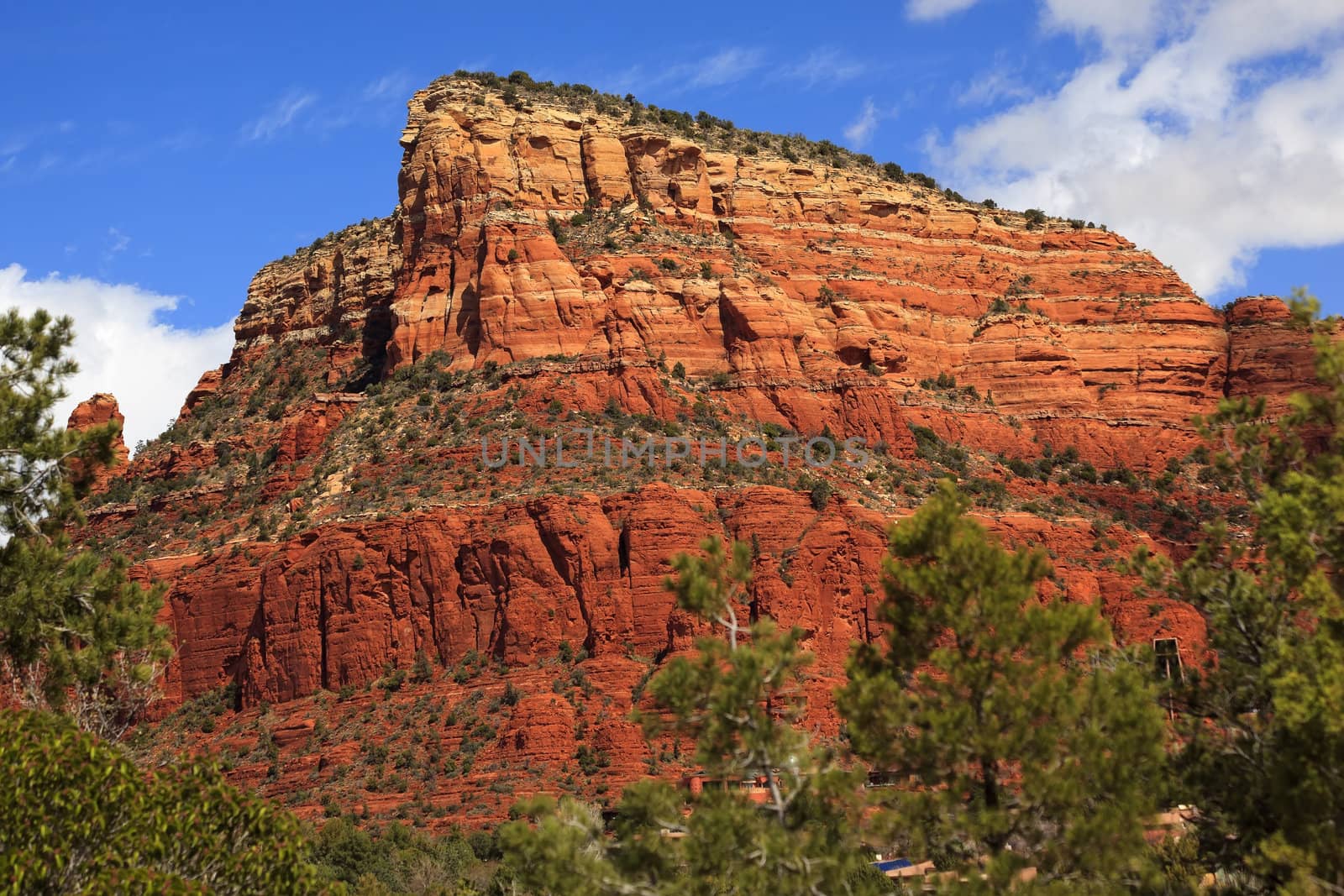 Red Rock Canyon Butte Little Horse Park Sedona Arizona