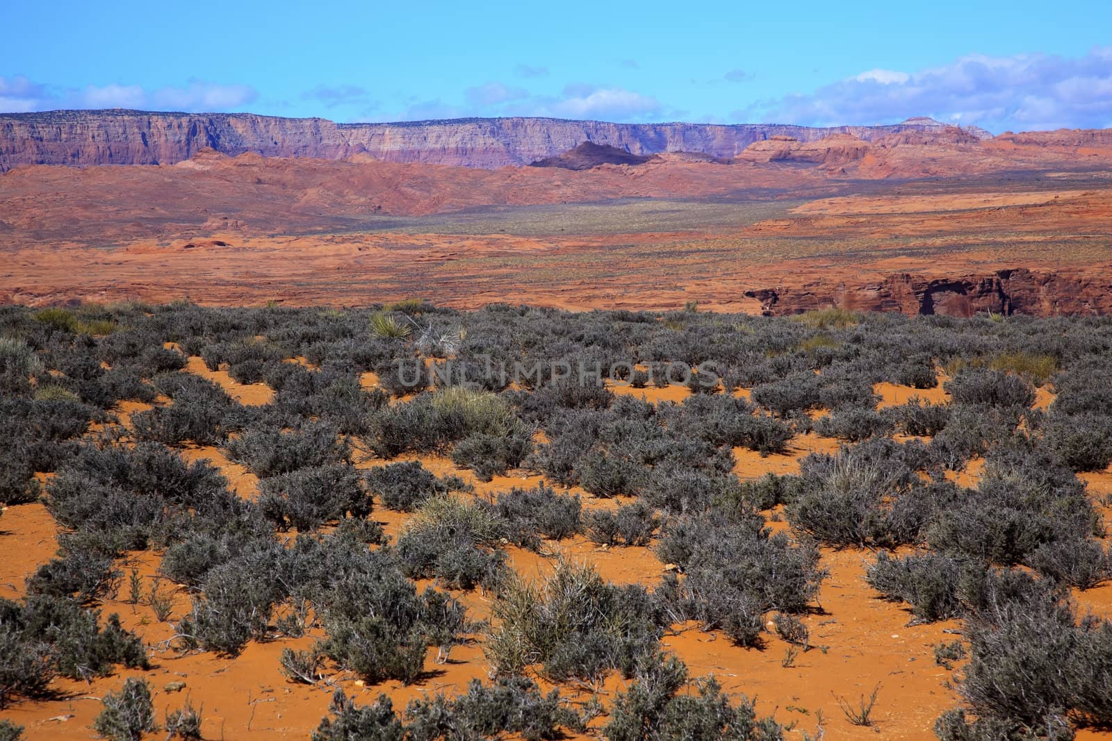 Orange Brown Sand Painted Desert Green Sagebrush Red Vermillion by bill_perry