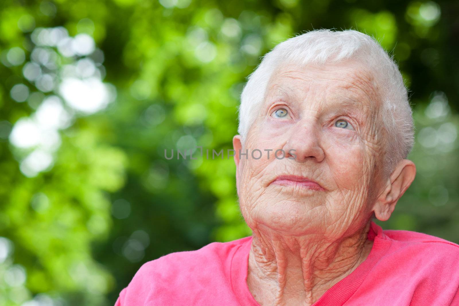 Senior Woman in a Wheelchair Looking up