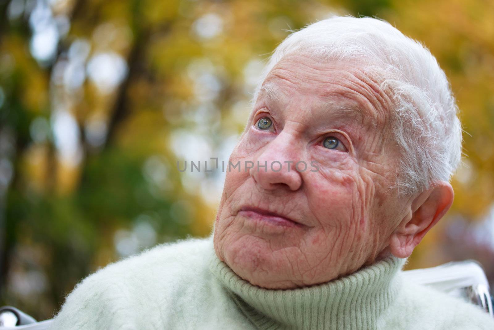 Senior lady outside in fall by melpomene