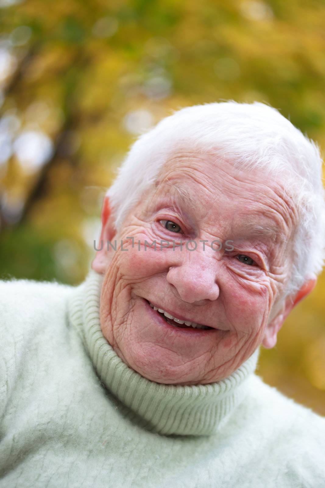 Happy senior lady smiling in front of the fall yellow leaves