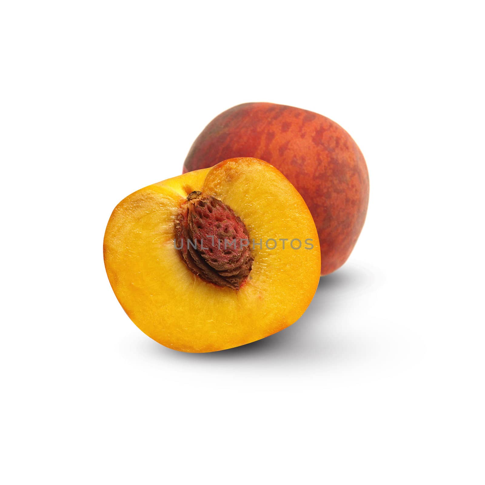 two apricots isolated on white background