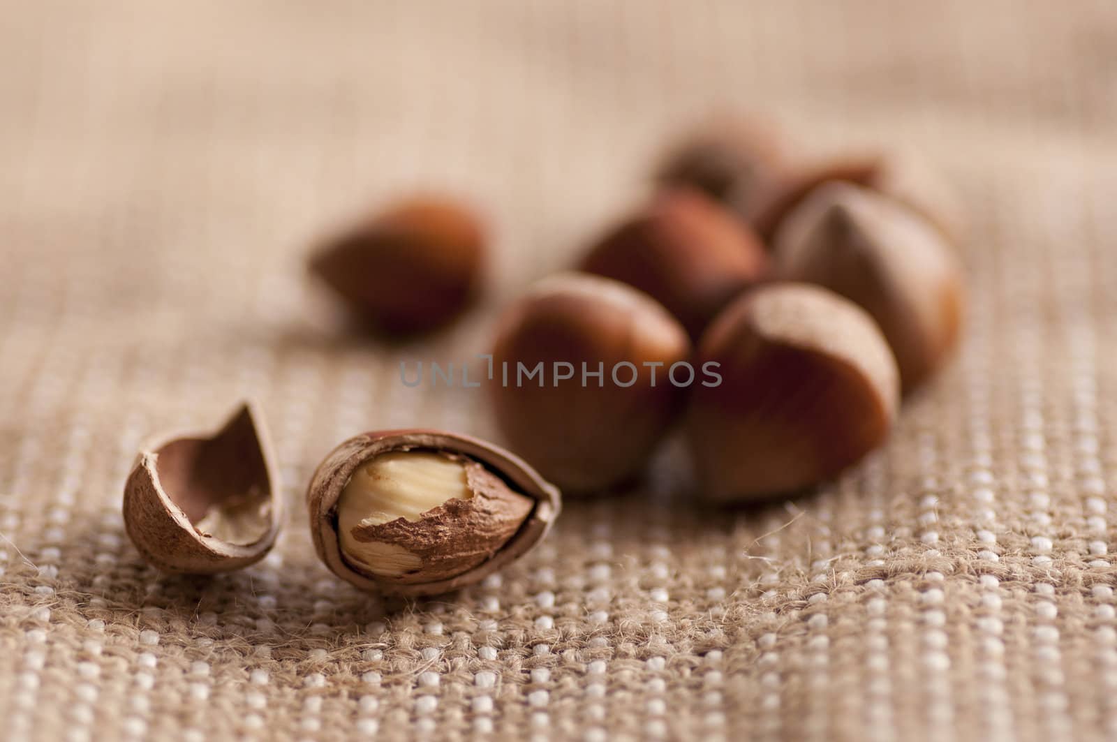 hazelnuts lying on sack background