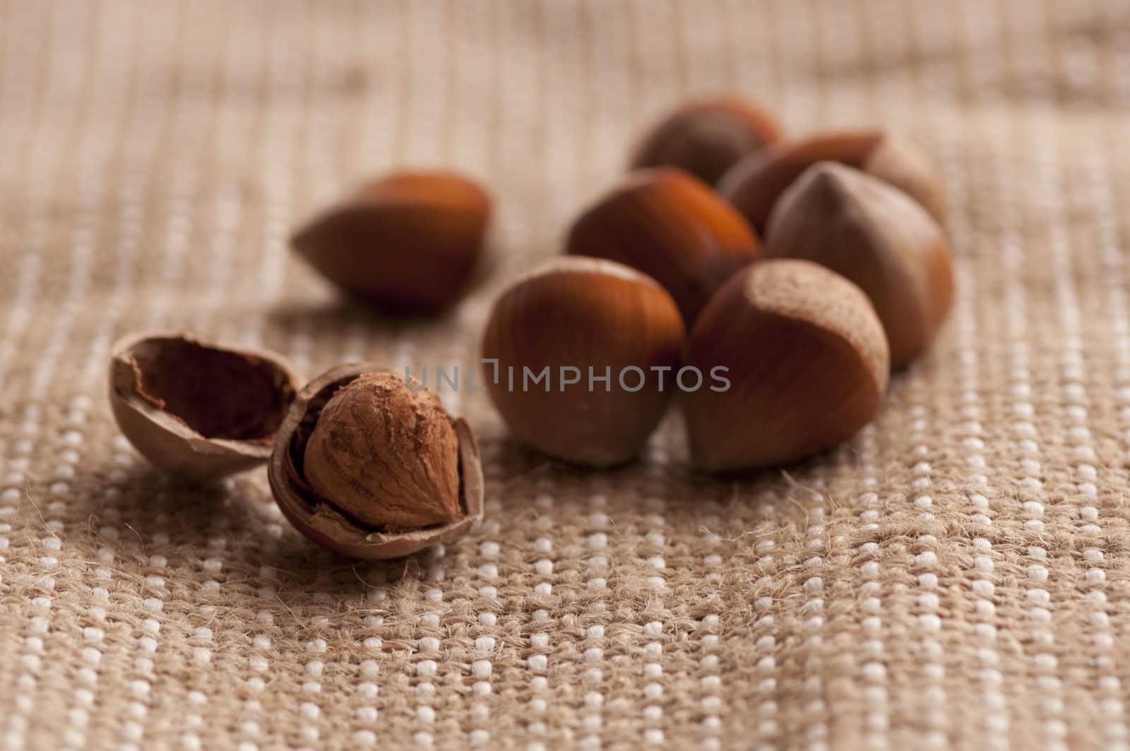 hazelnuts lying on sack background