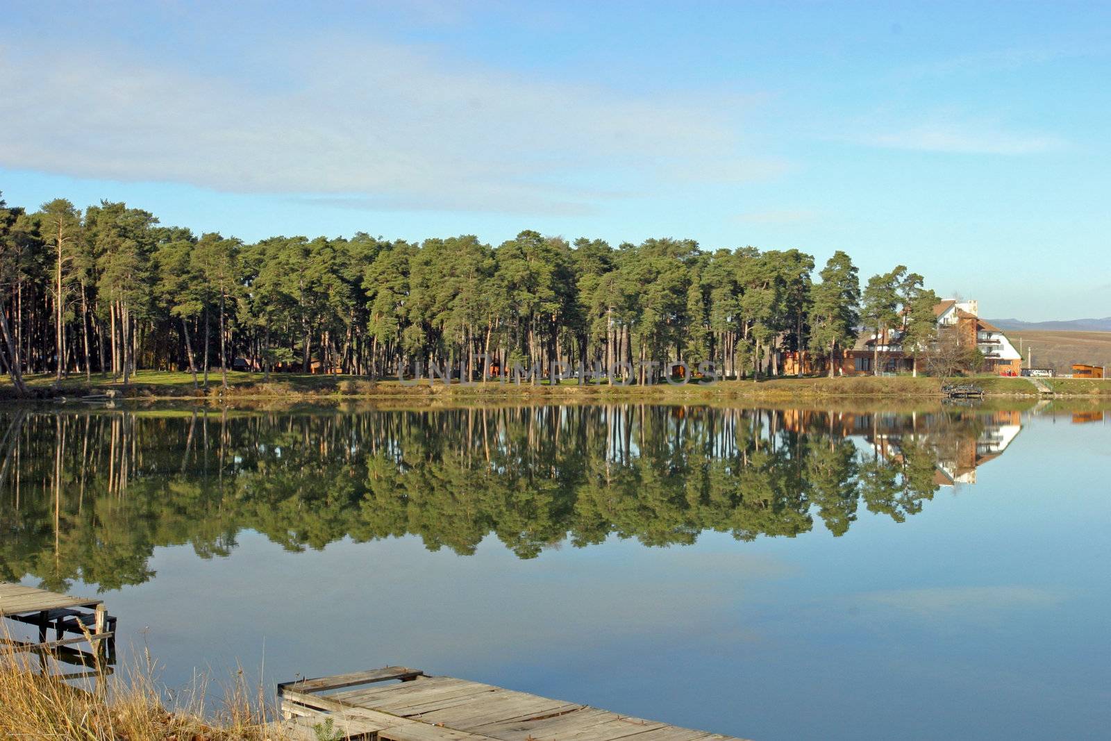 A pacific lake with good reflections near the forest.