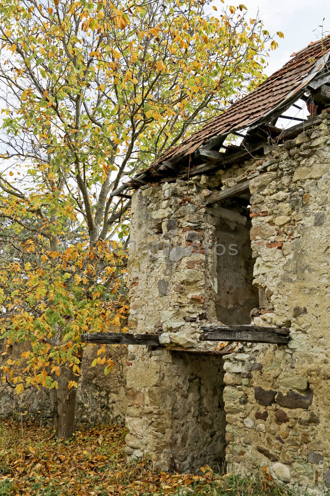 Detail of a ruinous house by renegadewanderer