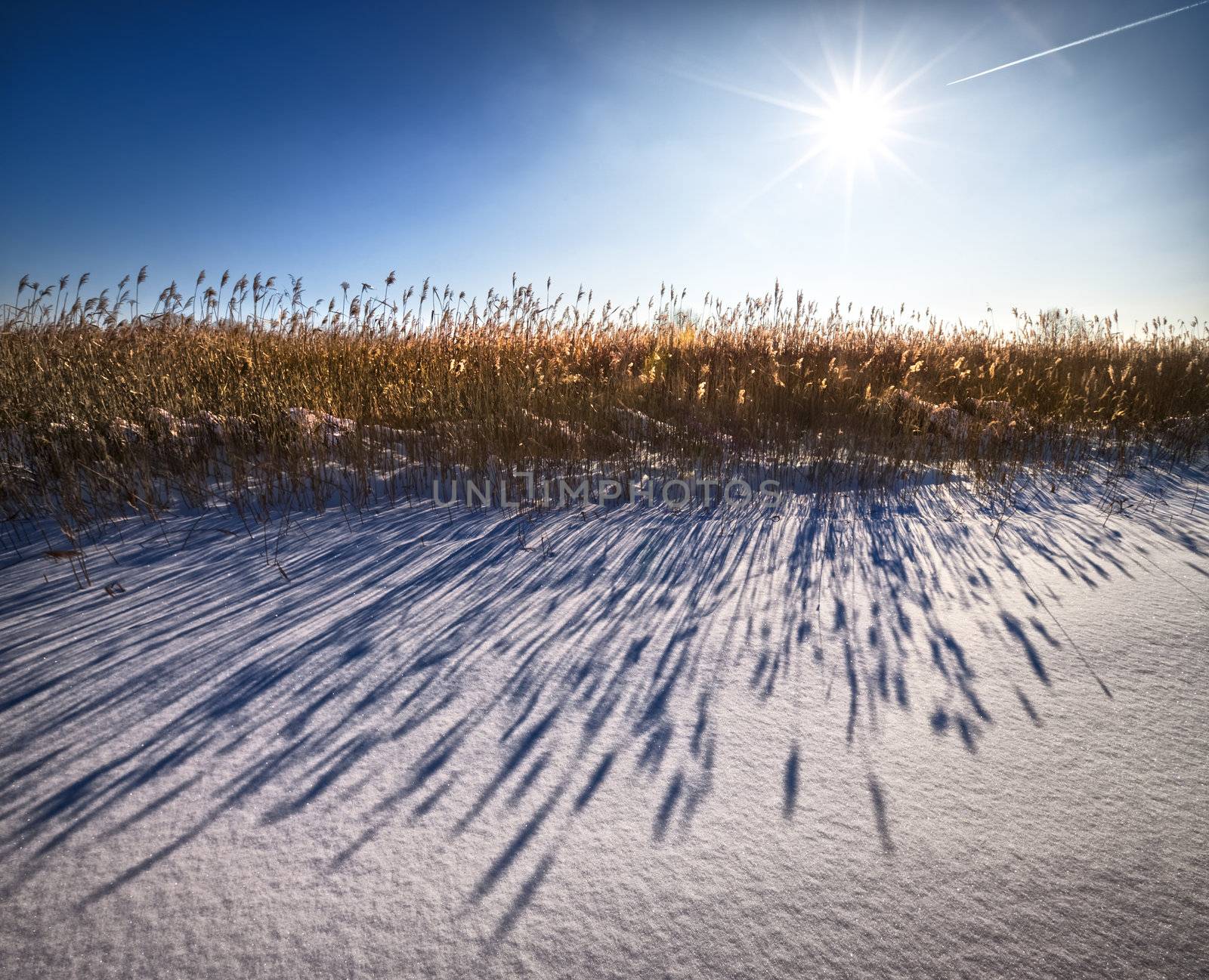 Shadows on the snow. by vladimir_sklyarov
