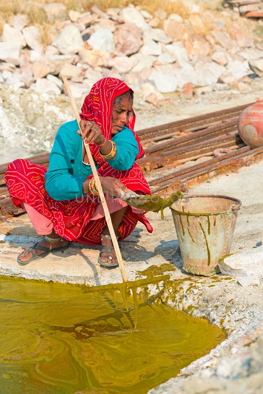 Indian woman collects algae by iryna_rasko