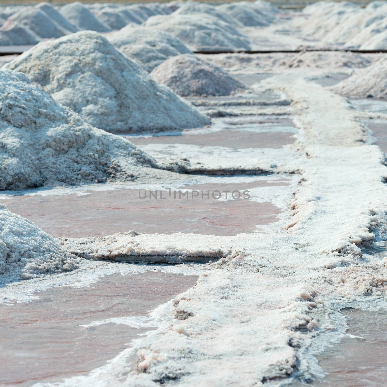 Salt piles in salt farm, India  by iryna_rasko