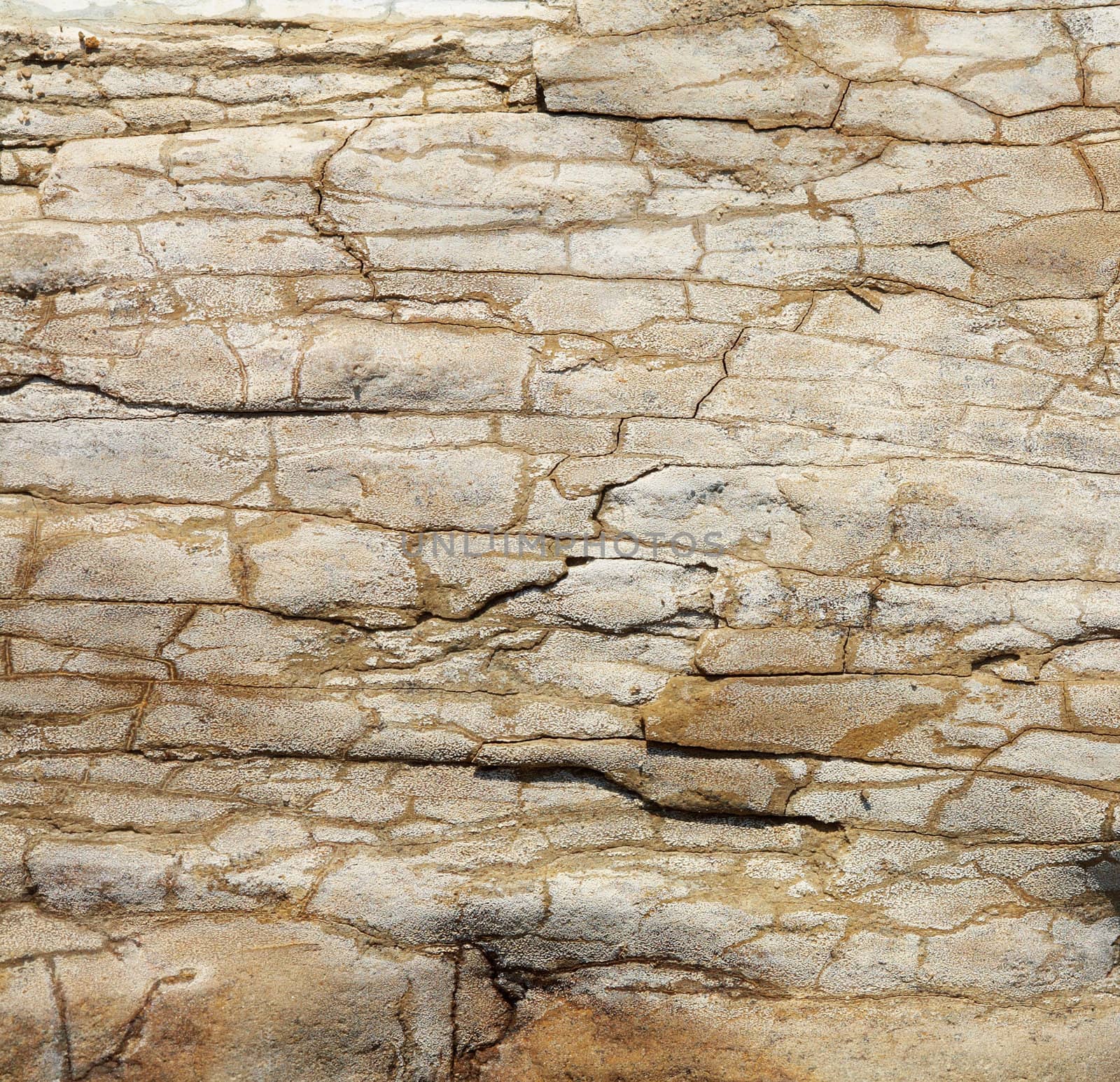 Closeup picture of a sandstone texture.