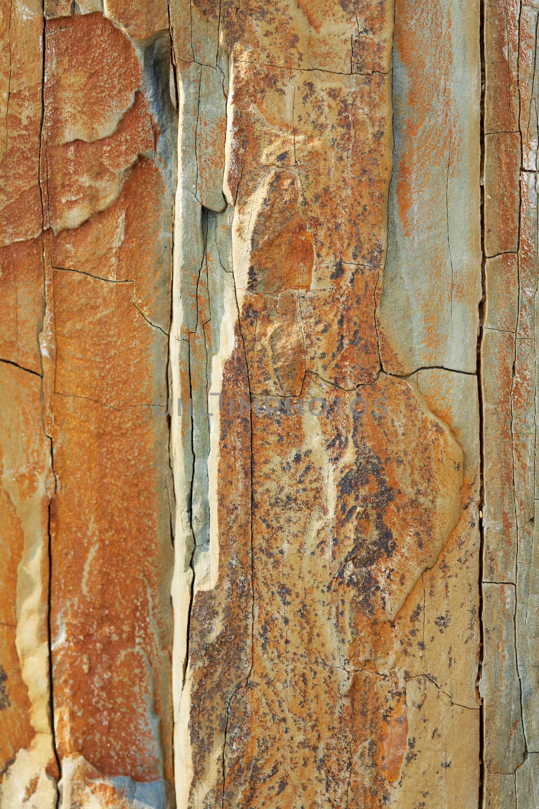 Closeup picture of a Carpathian sandstone texture.