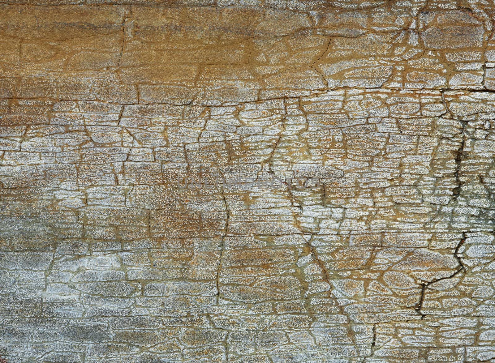 Closeup picture of a Carpathian sandstone texture.