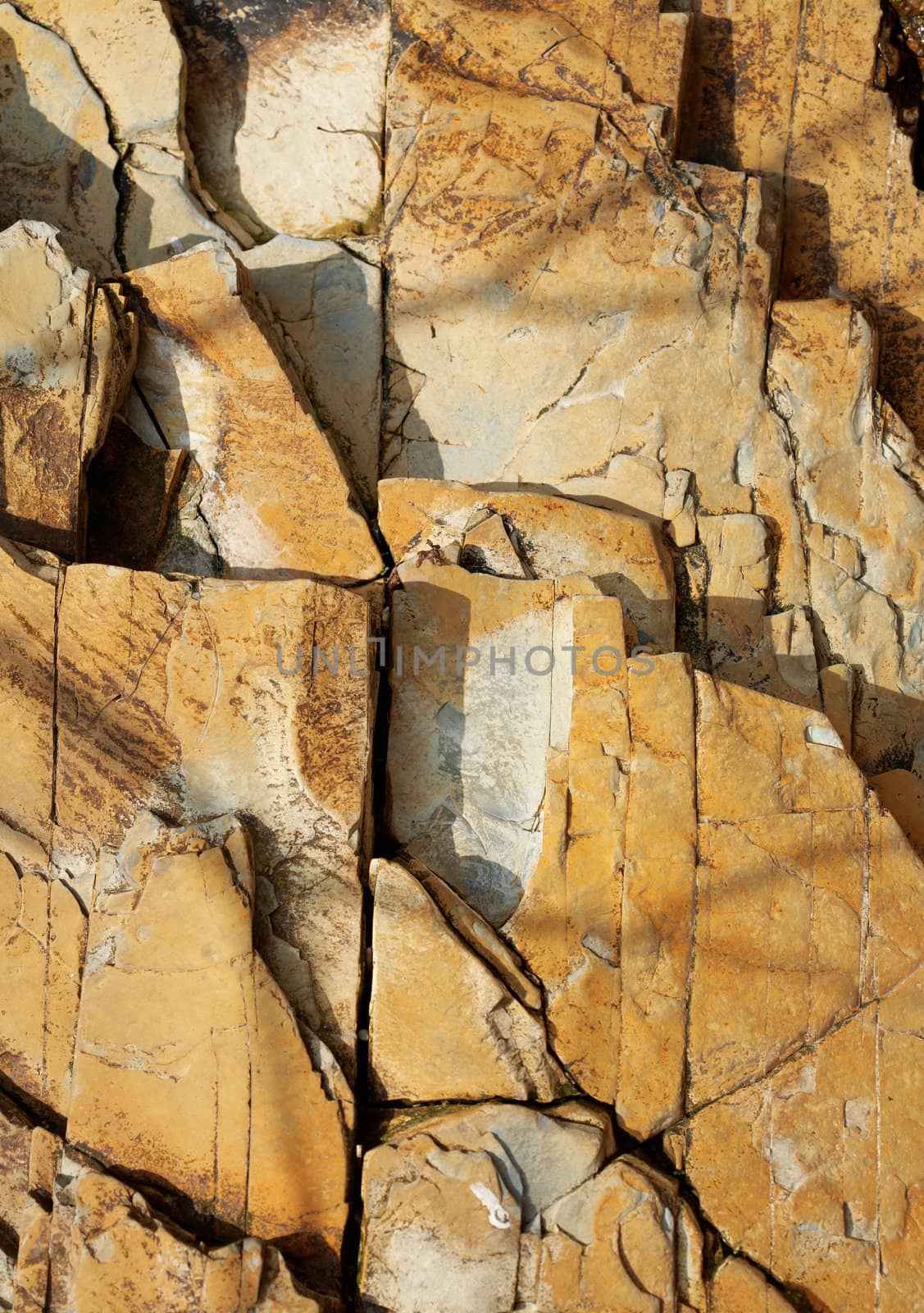 Closeup picture of a Carpathian sandstone texture.