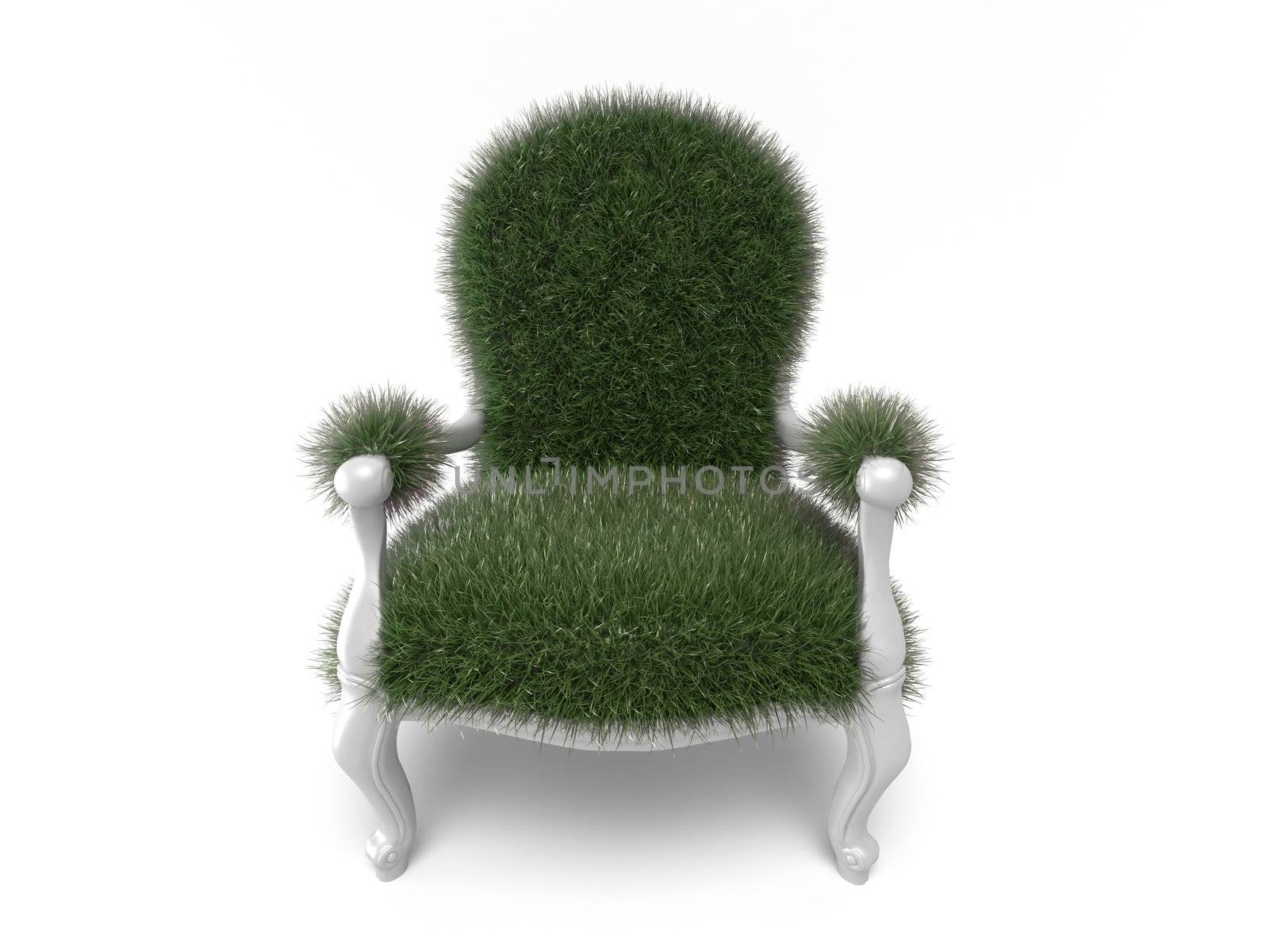 Grass grown on a chair