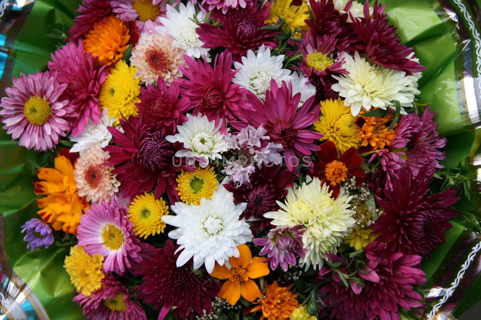 vivid varisorted multicolored flowers background