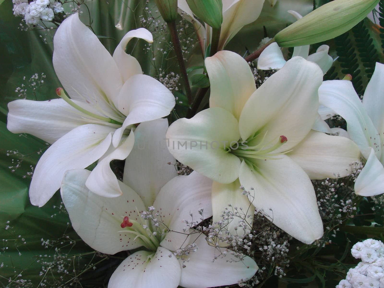 snowy white lilly bouquet