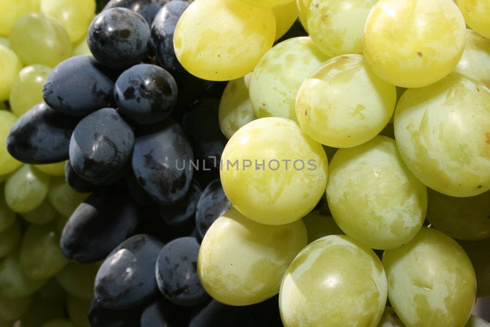 Bunch of fresh big mature grapes